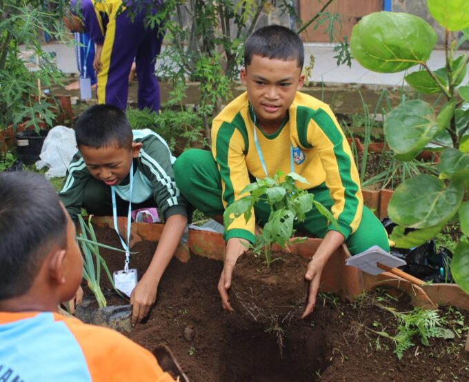 MPLS Hari Ke-4 : Menanam Tanaman di Bedengan